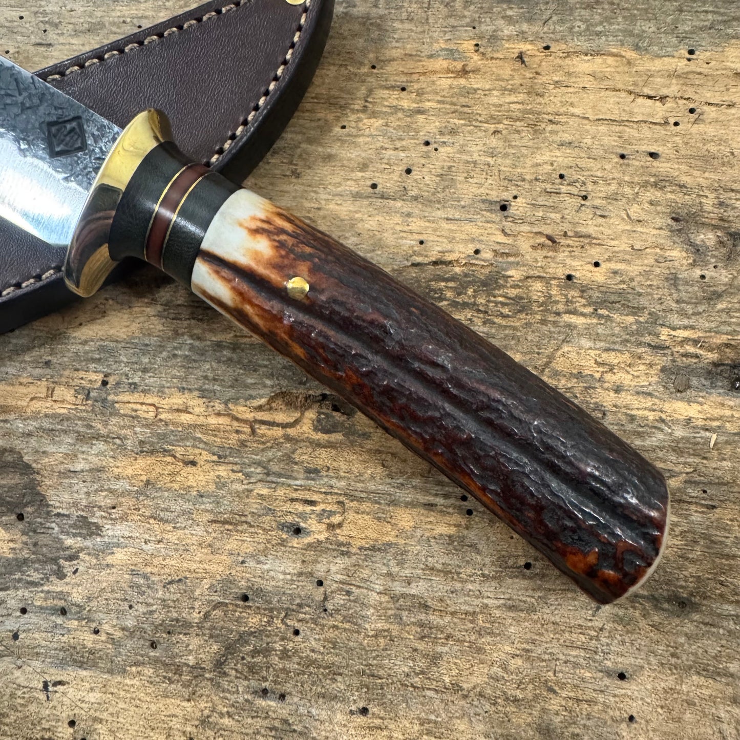 Hammer Mark Big Bay Hunter