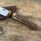 Premium Sambar Stag XL Michigan Trout
