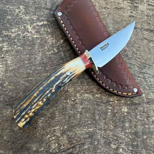 Premium Sambar Stag Caper