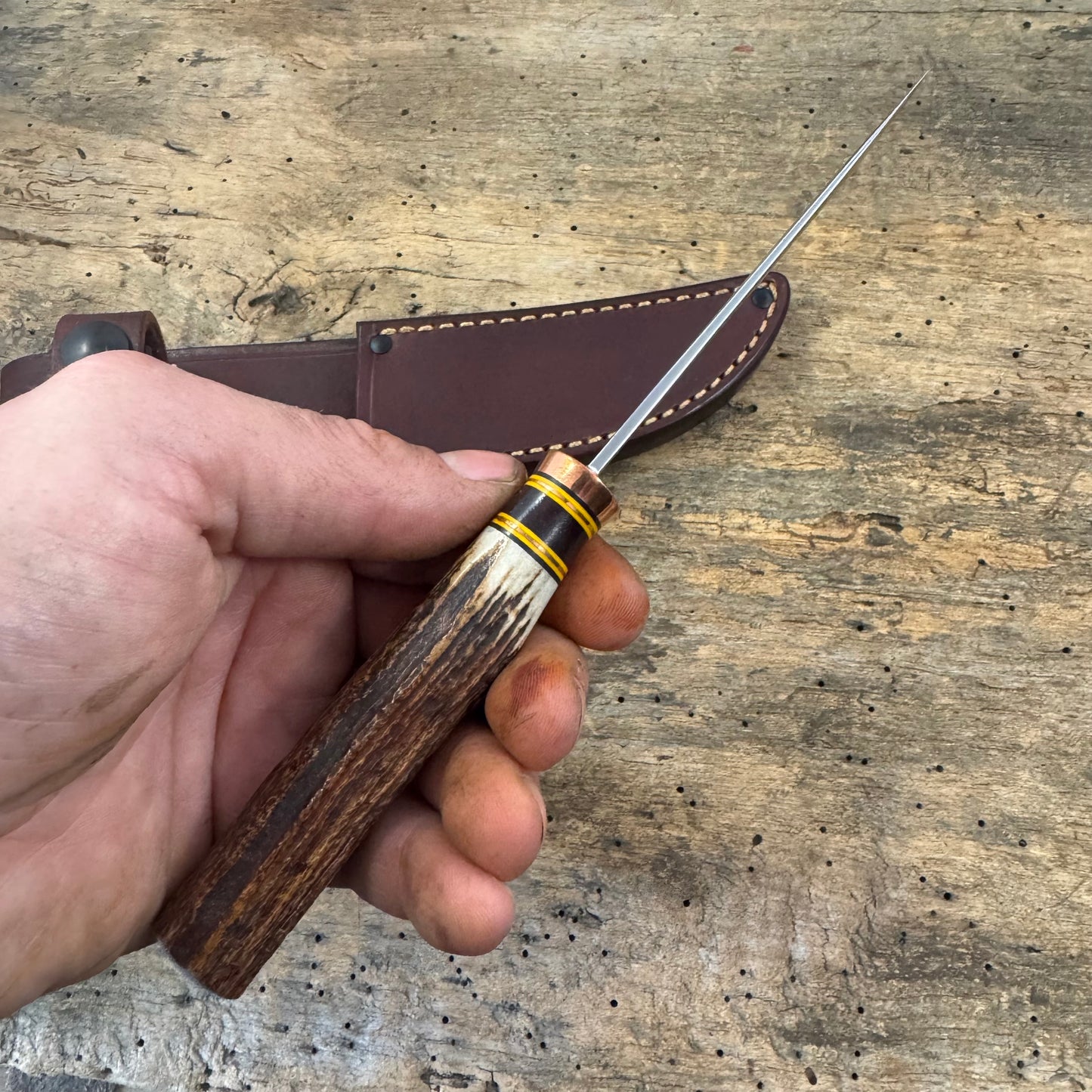 Premium Sambar Stag XL Michigan Trout