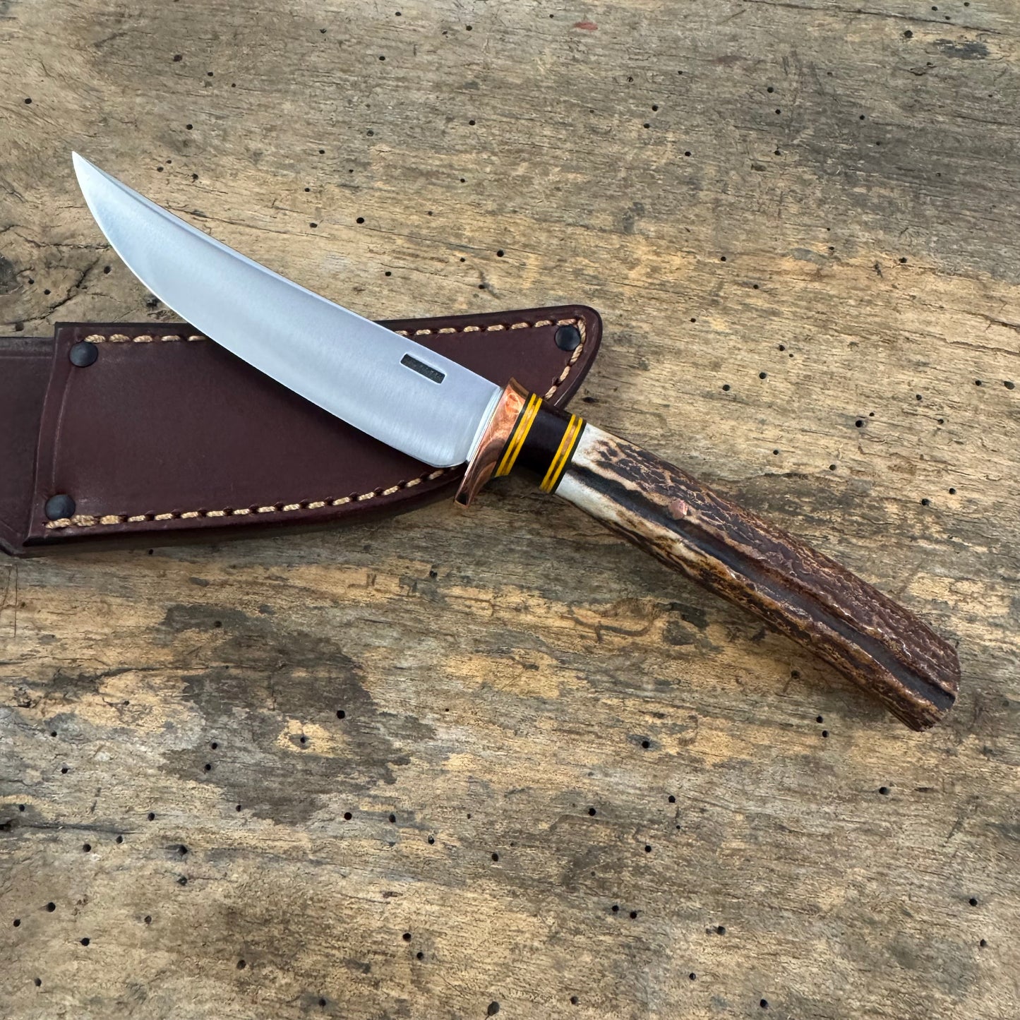 Premium Sambar Stag XL Michigan Trout