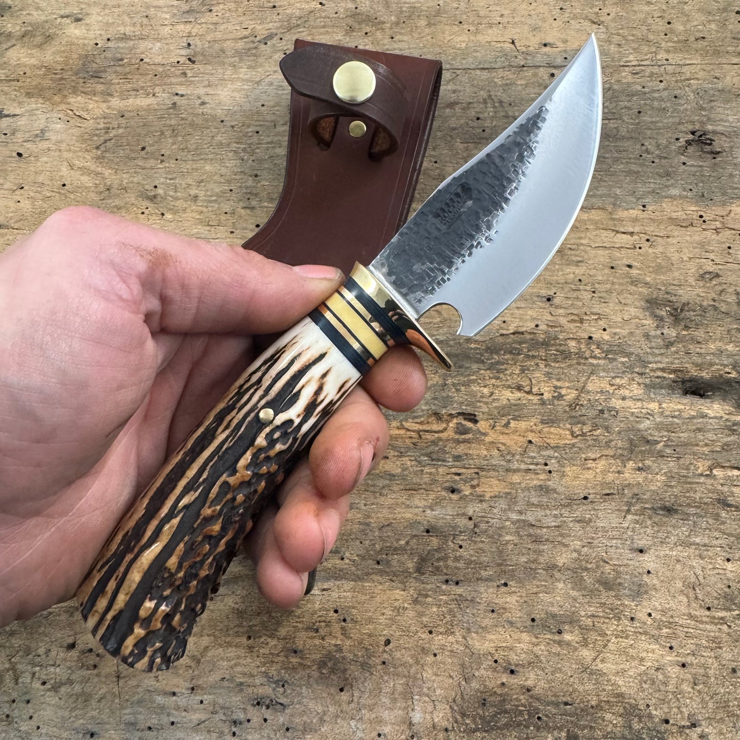 Hammer Mark Clip Point Hunter