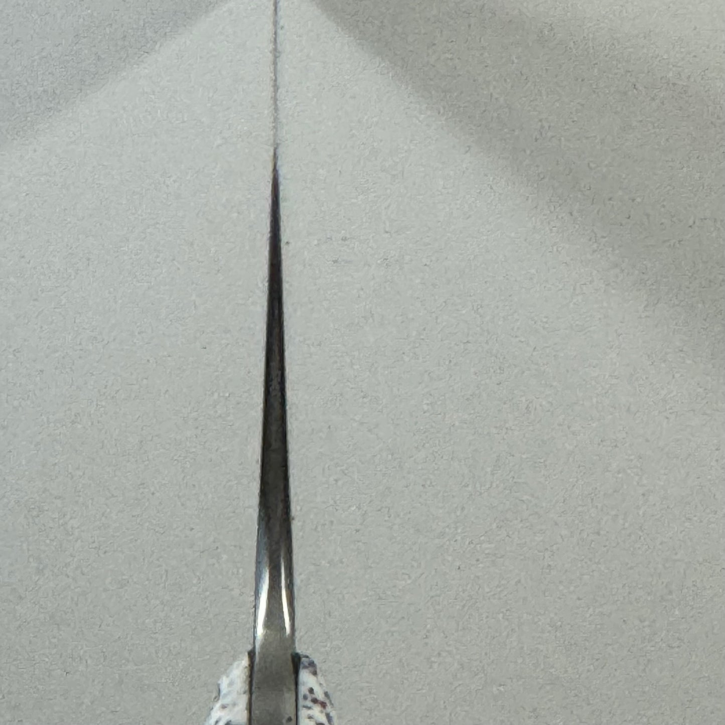 Rae's Signature Stainless Chef