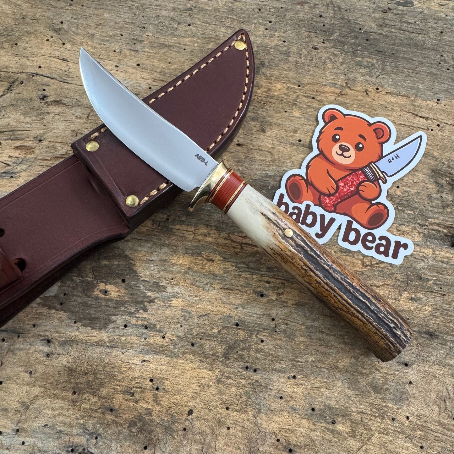 Baby Bear