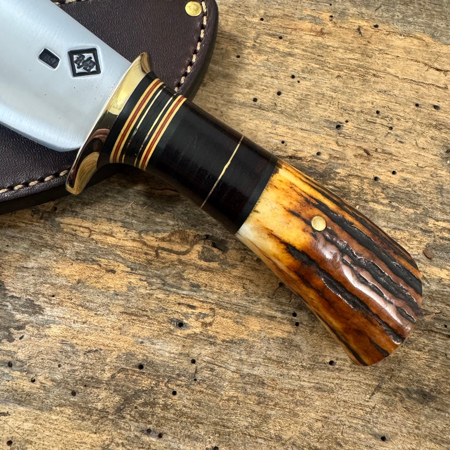 Scagel Style Hank's Skinner