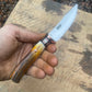 Premium Red Stag Lightening Point Trout Knife