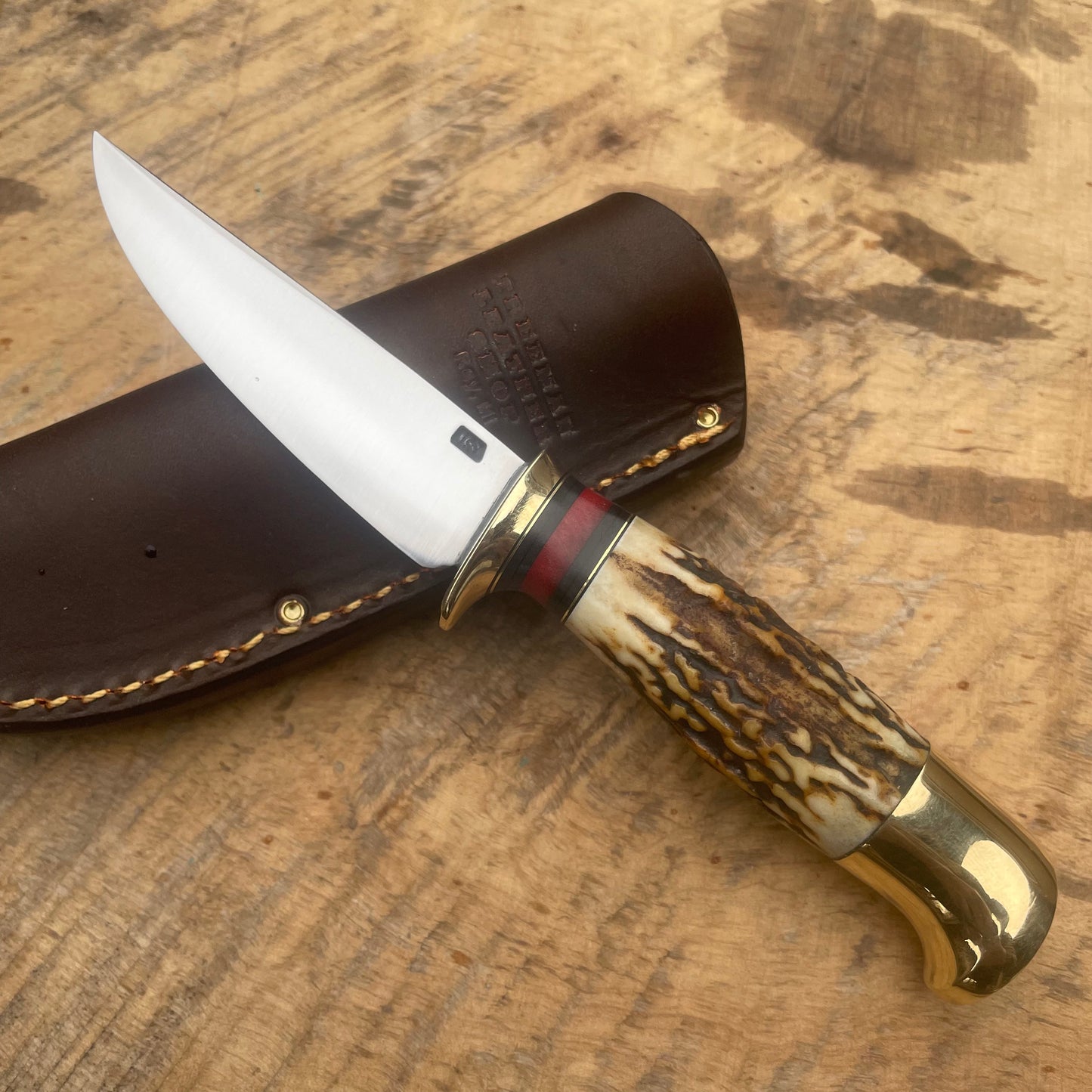 Premium Sambar Stag Pocket Knife
