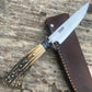 Stag Lightening Point Trout Knife